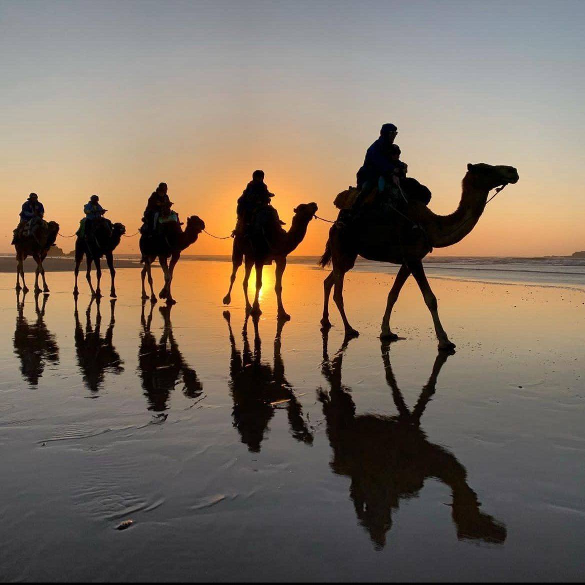 Balade en dromadaire dans les paysages naturels autour d’Essaouira